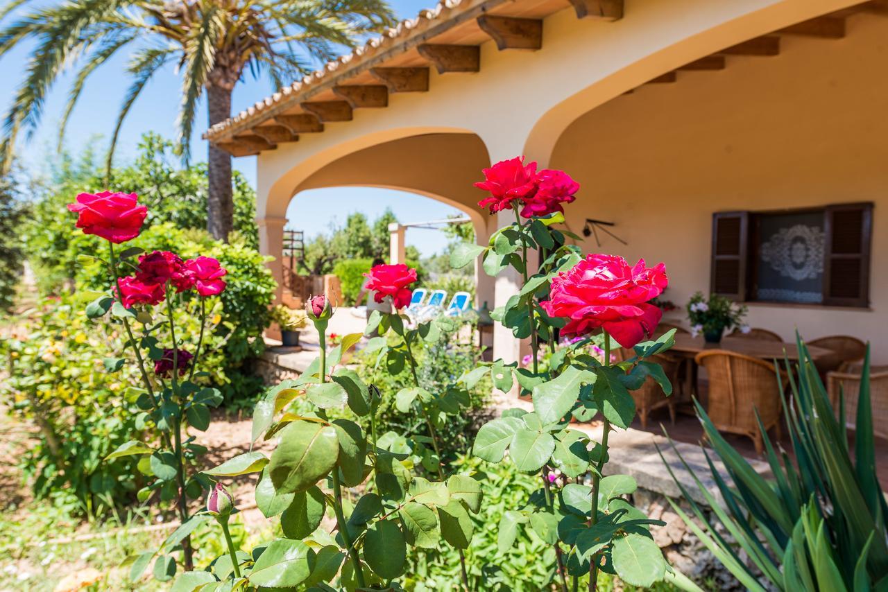 Clau De Sol Villa Can Picafort  Buitenkant foto